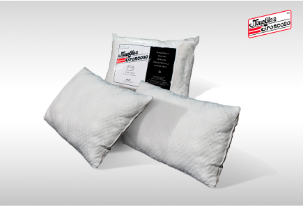 2 ALMOHADAS PREMIUM