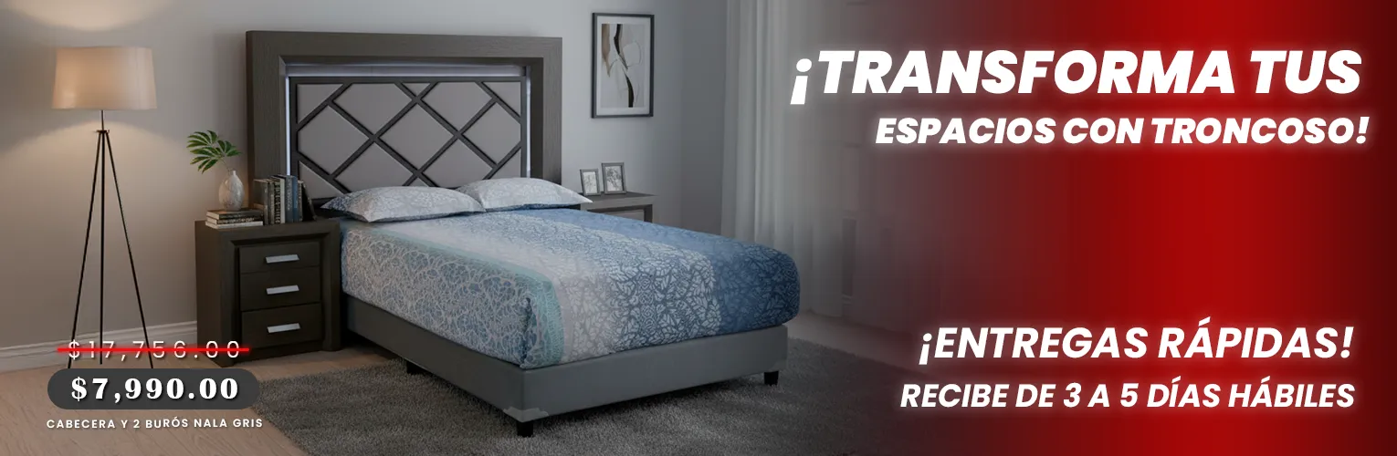 CABECERA Y 2 BURÓS NALA GRIS